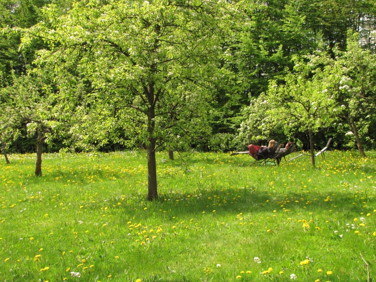 Yoga Vidya Ashram Hotel Horn-Bad Meinberg Bagian luar foto