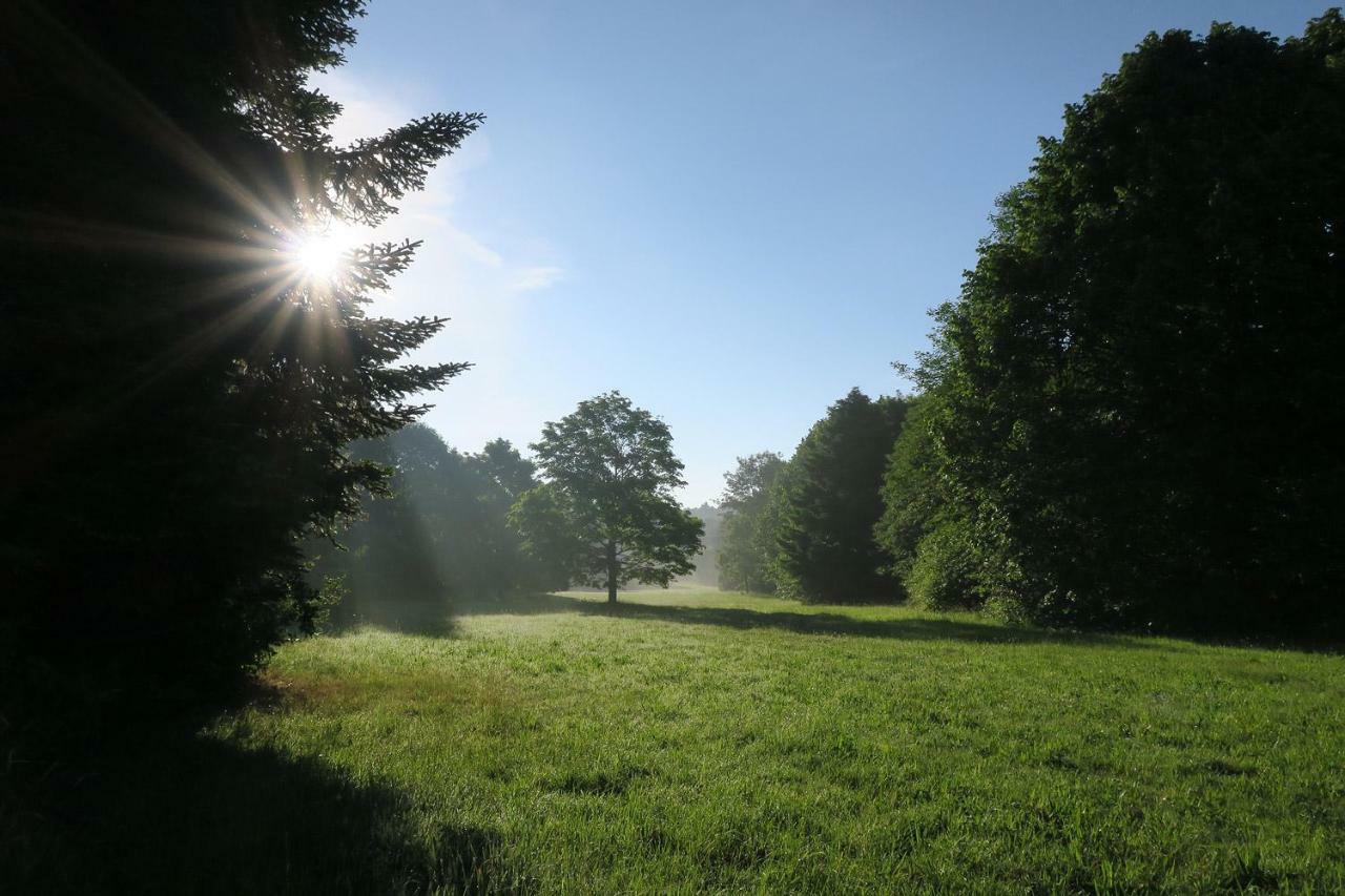 Yoga Vidya Ashram Hotel Horn-Bad Meinberg Bagian luar foto